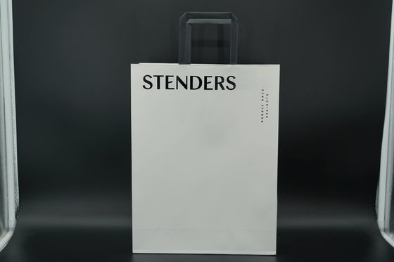 OEM Environmental Personalized Paper Bags Lightweight Eco-Friendly