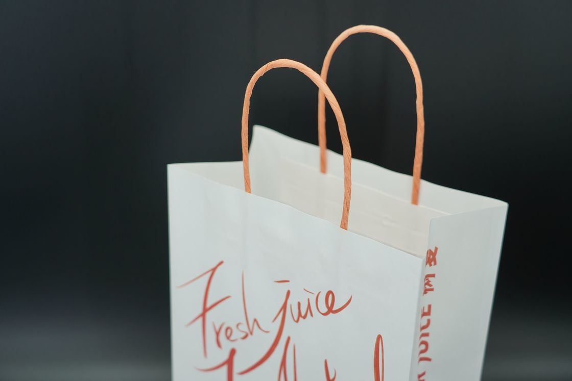 Industry Custom Printed Gift Bags sturdy Eco Friendly Kraft Food Bags