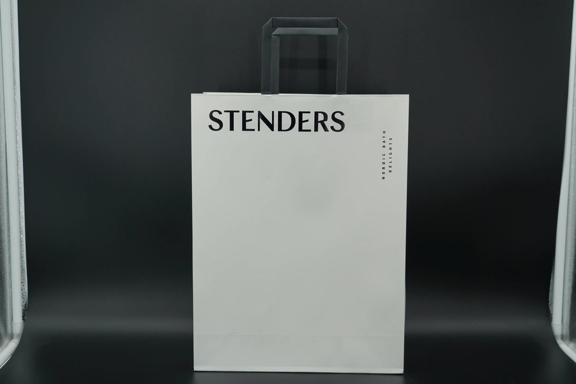 OEM Environmental Personalized Paper Bags Lightweight Eco-Friendly